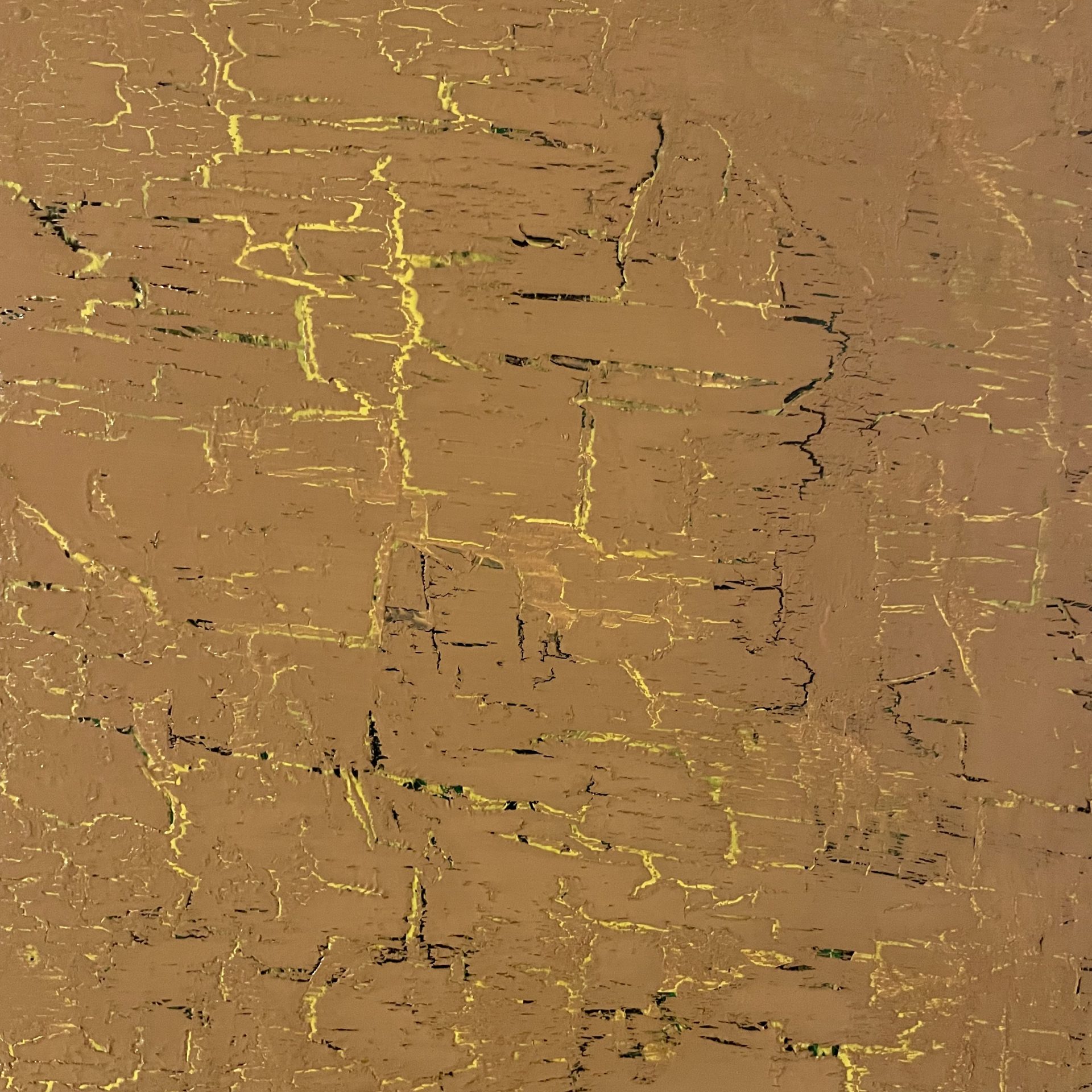 Holy Moly - Detailansicht